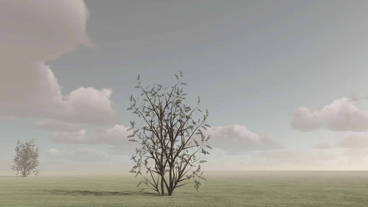 OWA Nature Bundle PRO