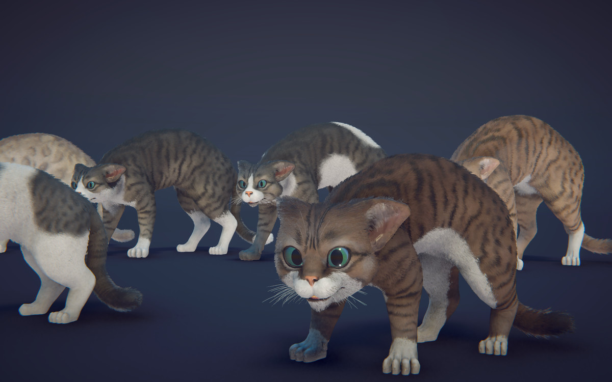 Milo the Cat