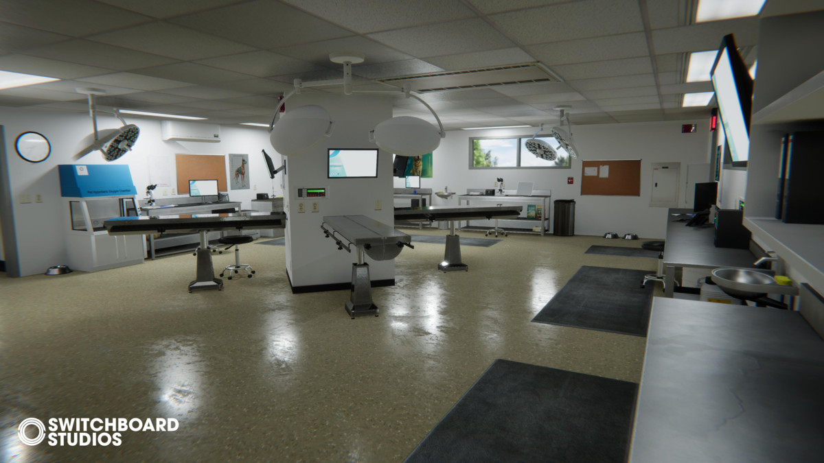 Modular Veterinary Clinic - Animal Hospital Environment