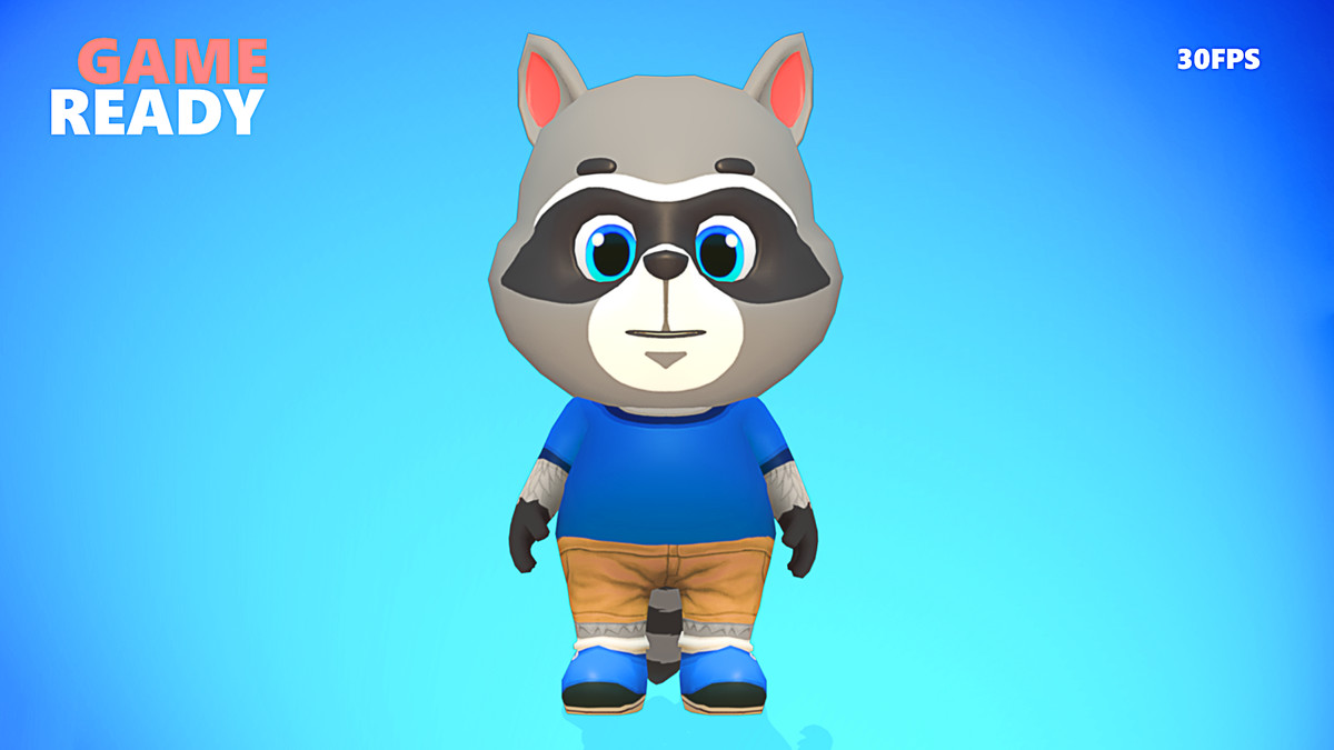Raccoon Dog Animated