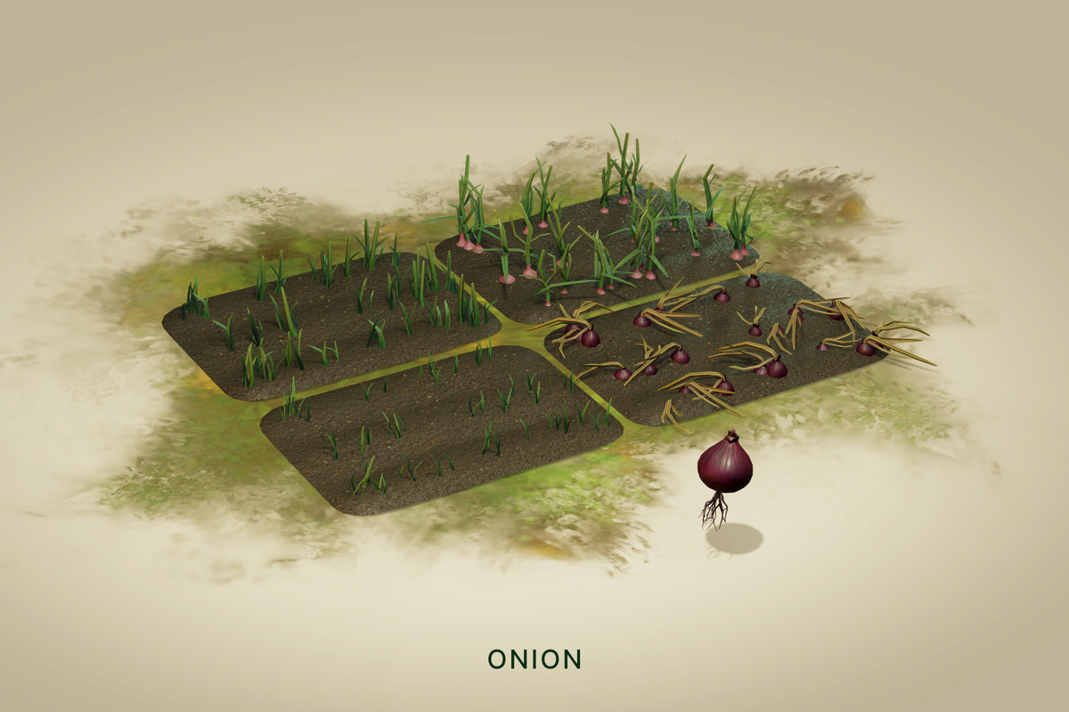 Wild Harvest: Root Vegetables