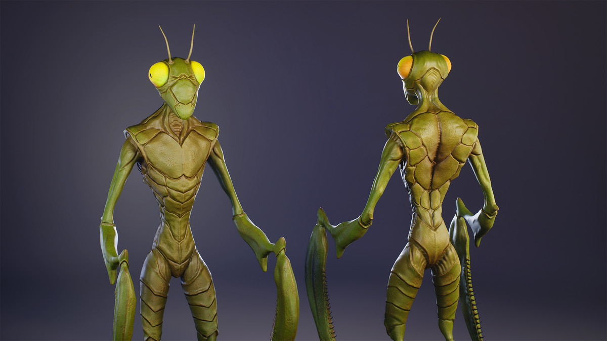 InsectPack