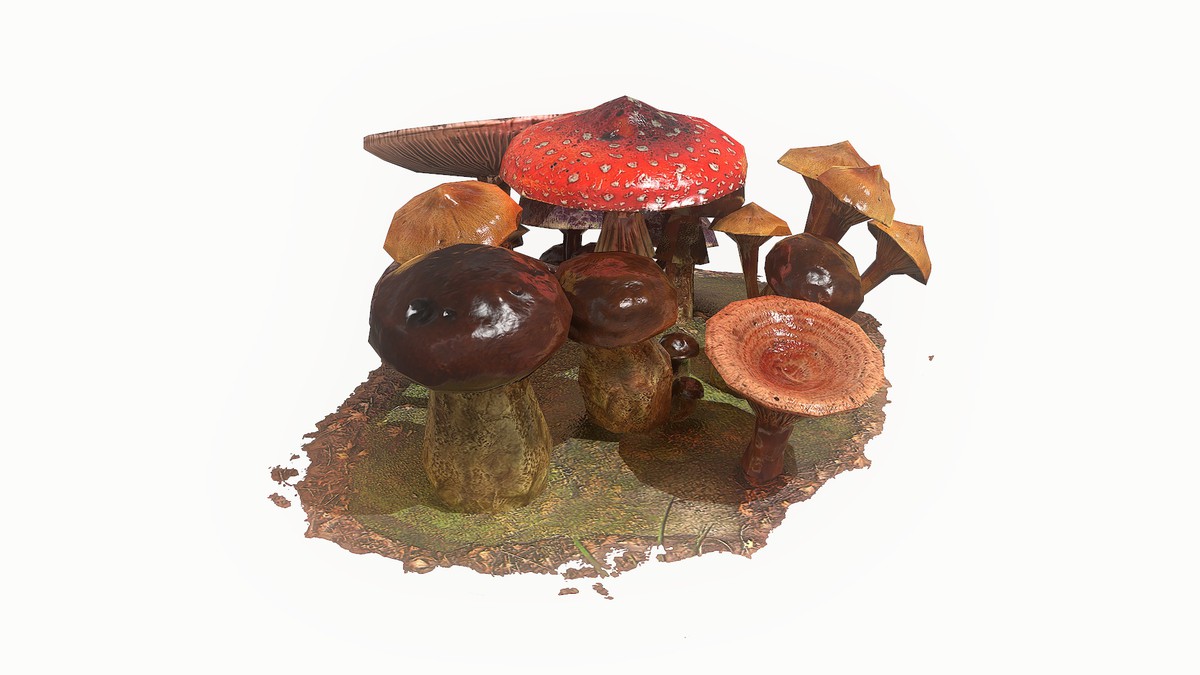 Mushrooms