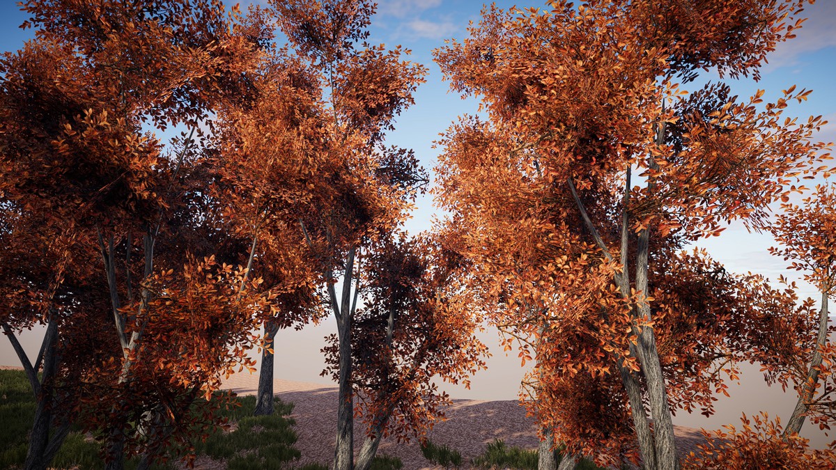 HDRP Tree Bundle 1