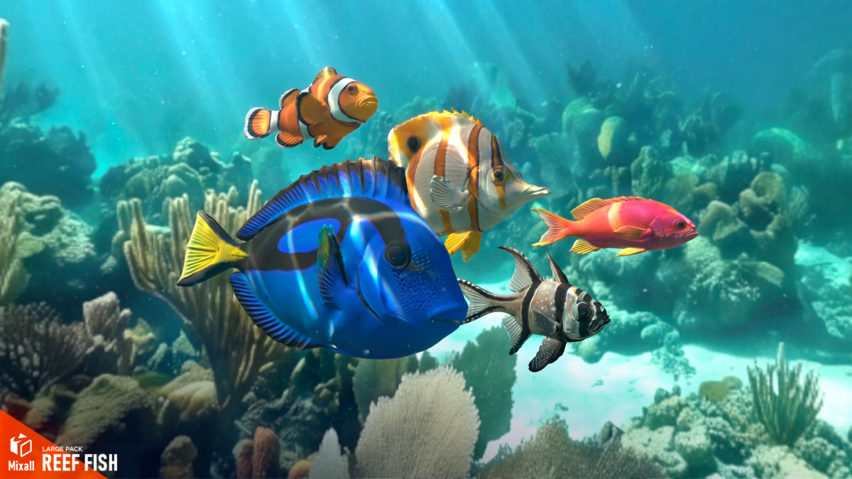 270 fish - Full pack