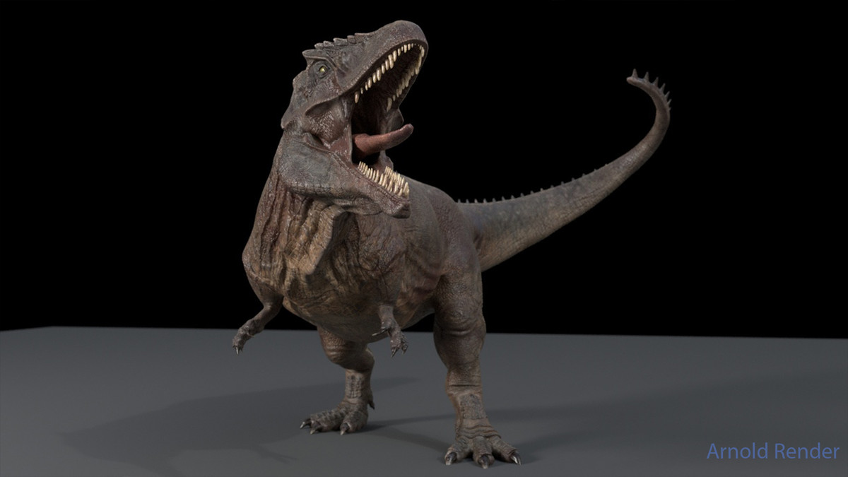 Dinosaur & Dragon 3-in-1 Collection