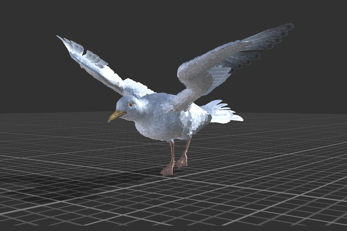 Seagull Feathered