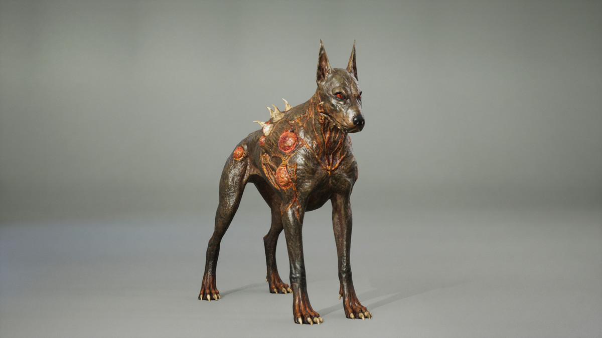 Dog mutant