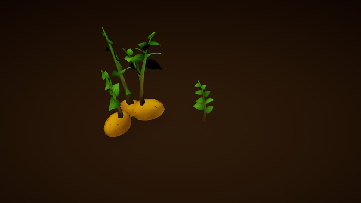 Garden Plants Set