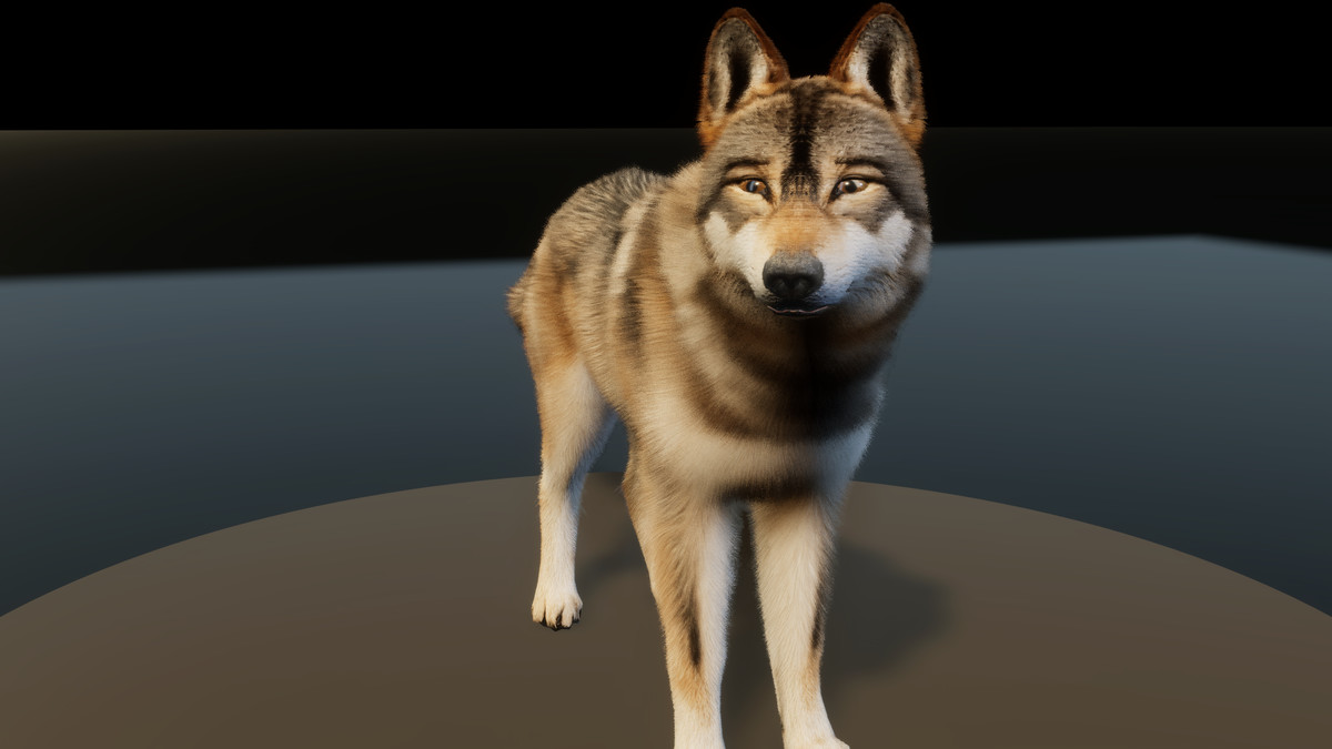 Forest Predators Collection - Realistic Animated Animals