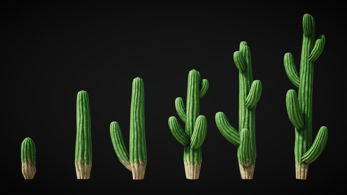 Pure Nature 2 : Mojave Desert