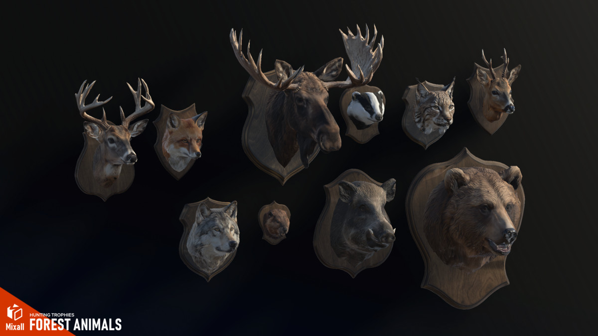 Forest animals – Hunting trophies