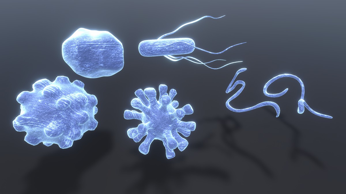 Freezable Virus Pack (Animated 3D)