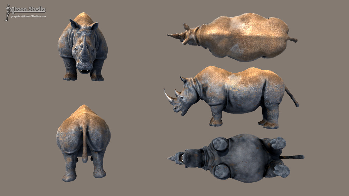 African Animal Rhinoceros Family