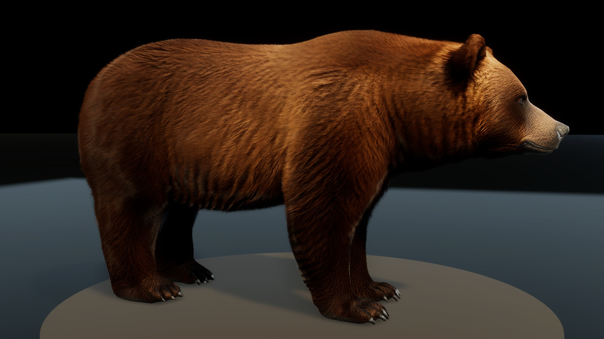Forest Predators Collection - Realistic Animated Animals