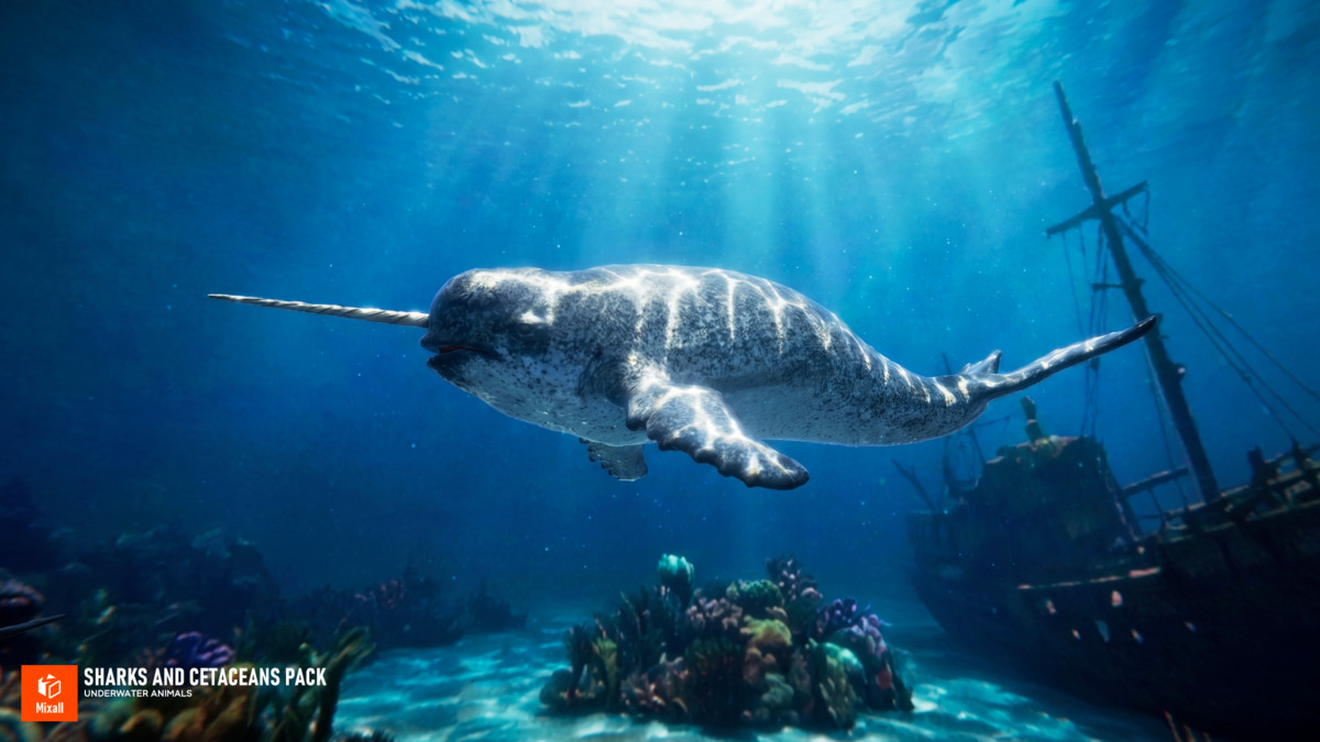 Sharks and Cetaceans Pack