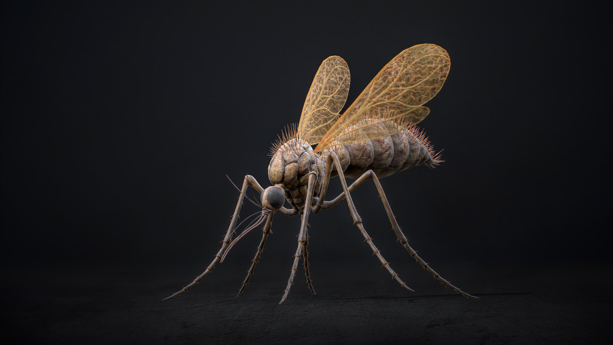 Mosquito Defender - Fantasy Cave Mosquito Creature