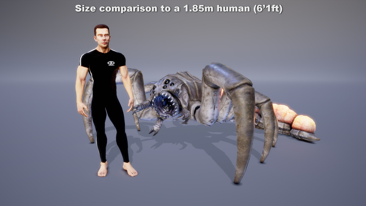 MONSTER: GIGABDOMOCAUDA LARVA