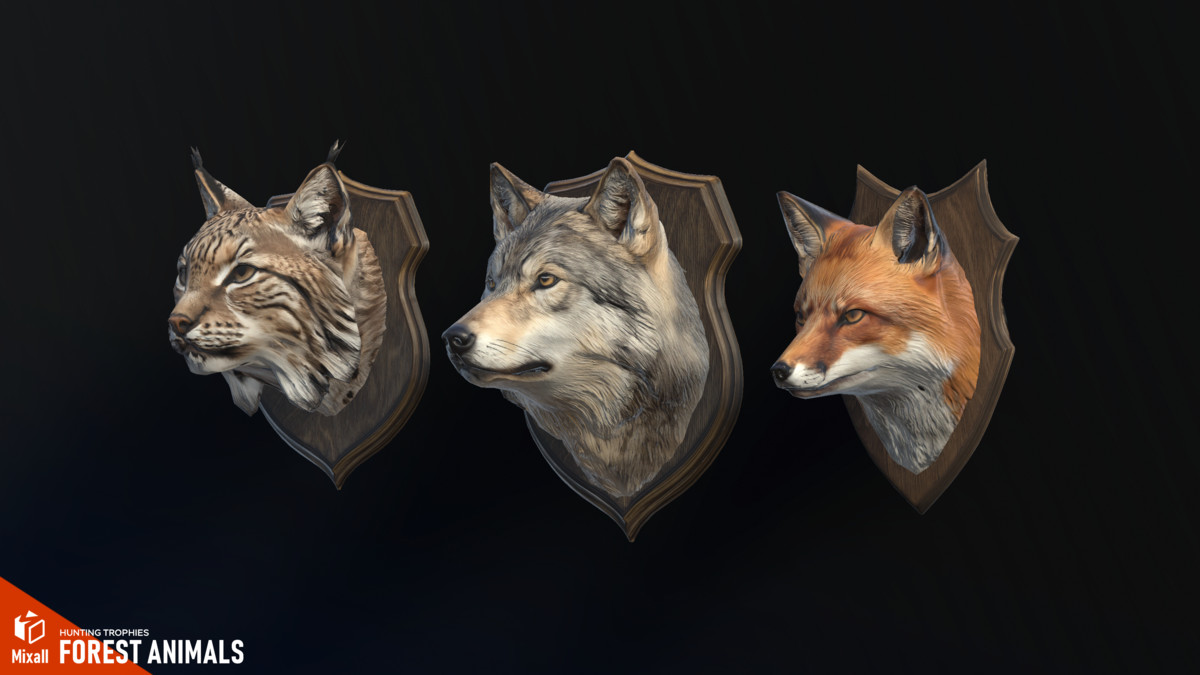 Forest animals – Hunting trophies