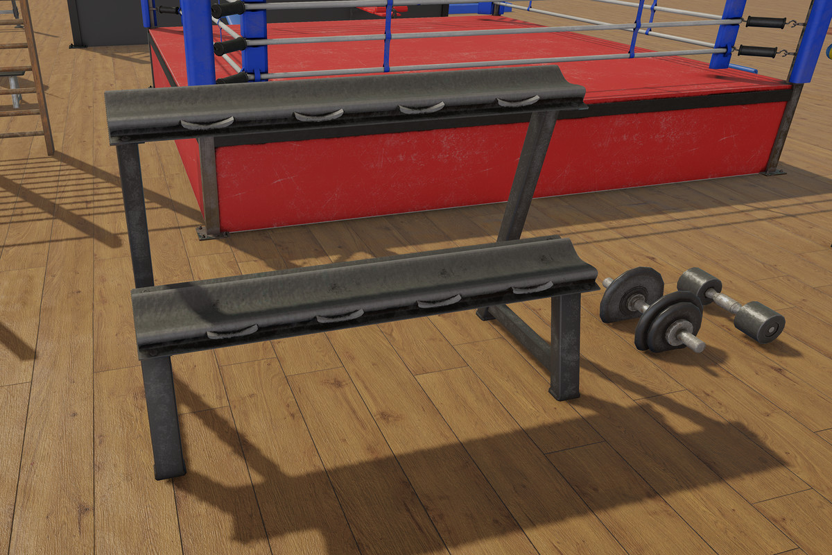 Boxing and Gym Equipment