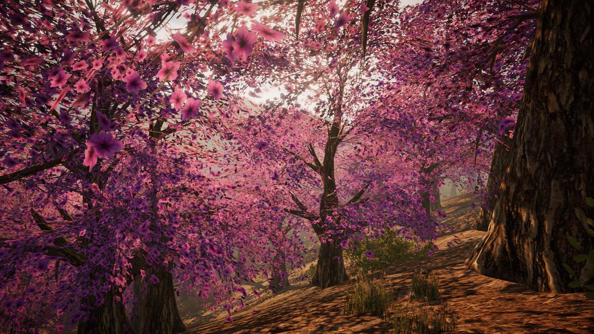 Big Tree Bundle