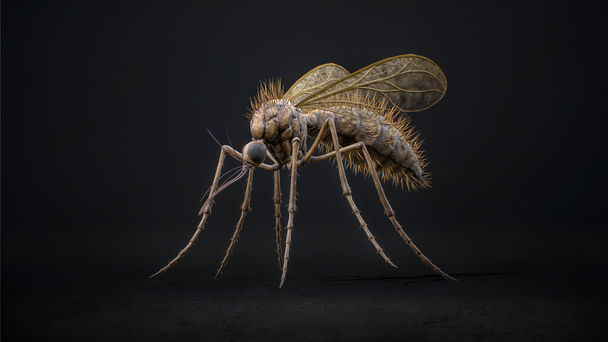 Mosquito Queen - Fantasy Cave Mosquito Boss Creature