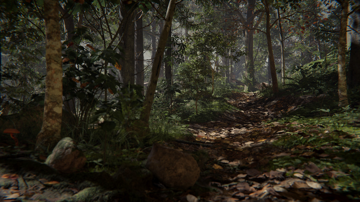 SeedMesh Forest Bundle