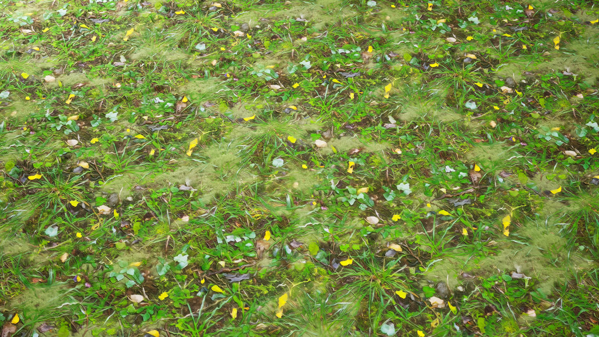 Realistic Materials - Forest Ground 1