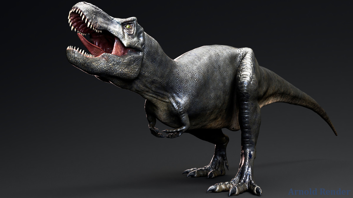 Dinosaur - Sub-Adult TRex