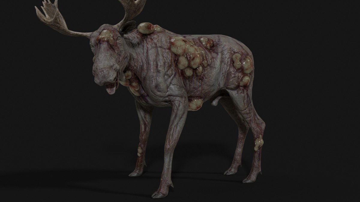 Rot Moose