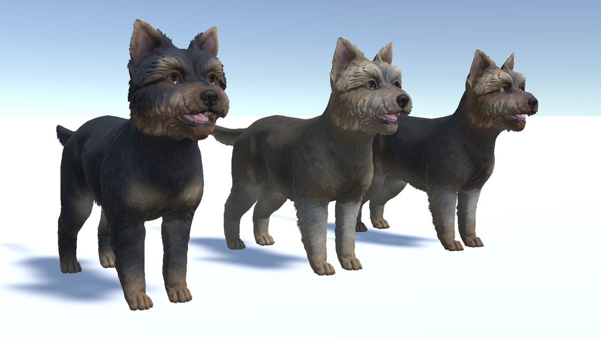 Dog - Yorkshire Terrier