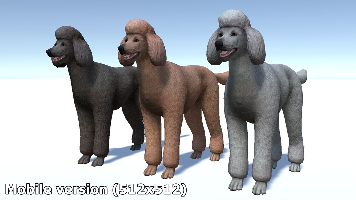Dog - Poodle