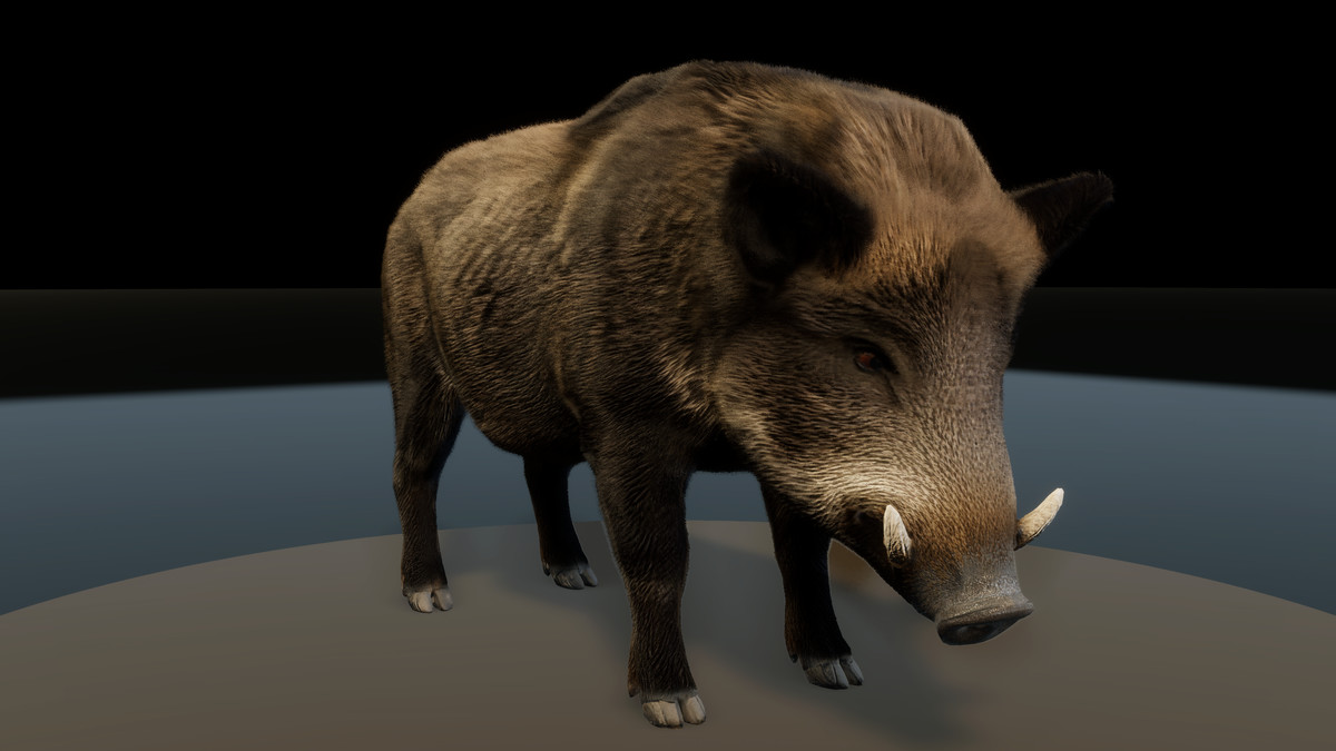 Forest Predators Collection - Realistic Animated Animals