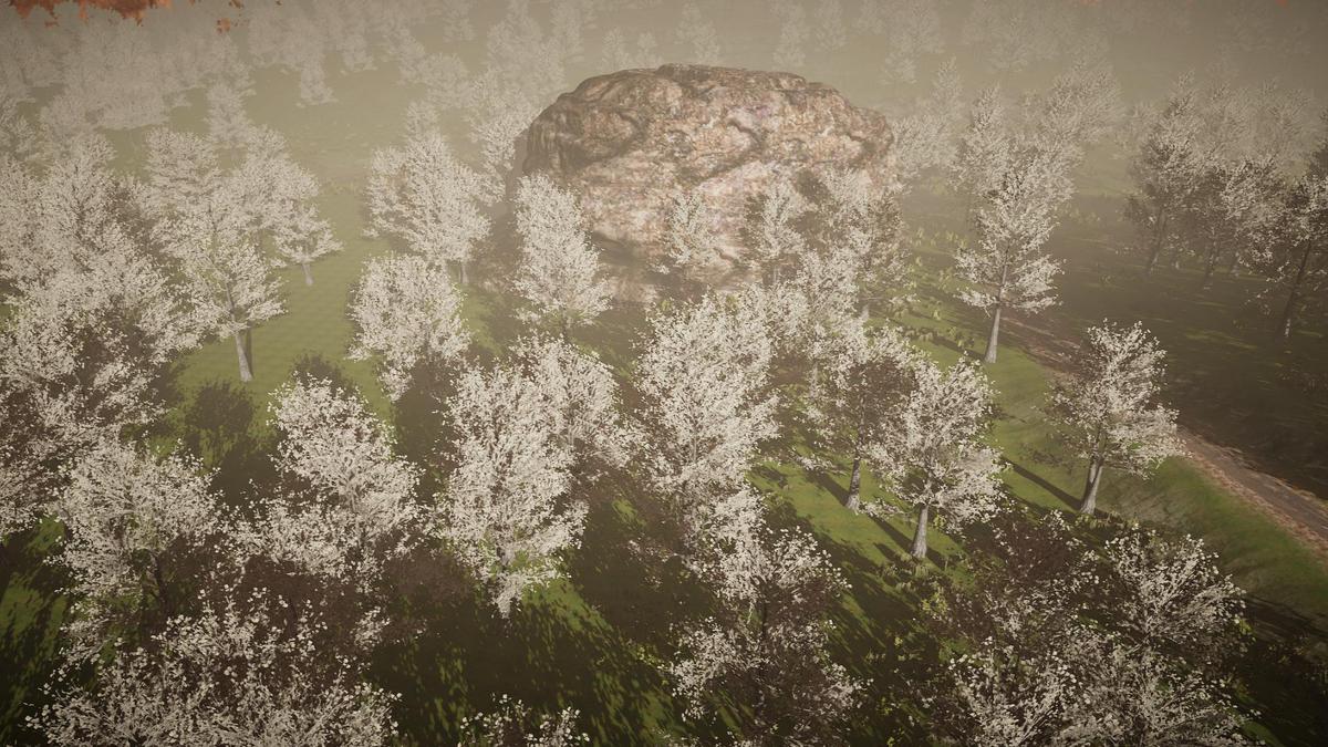 Big Tree Bundle