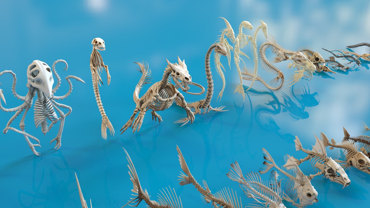 Fish and Underwater Creatures Skeleton Collection – Marine Bone 3D Asset Pack