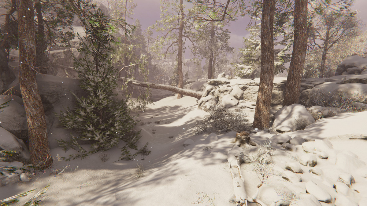 Tobyfredson - Nature Collection