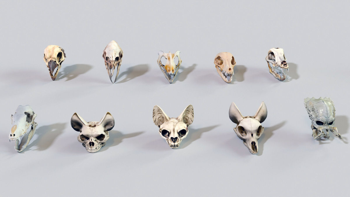 Ultimate Skeleton and Skull Pack. Game-ready low-poly assets