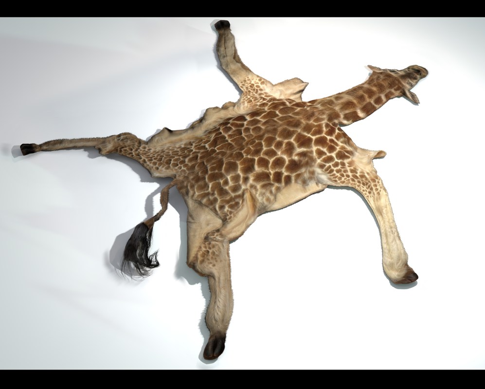 Animal pelts volume 4: giraffe, wolf, stag, reindeer, sheep, bull, bison 4k