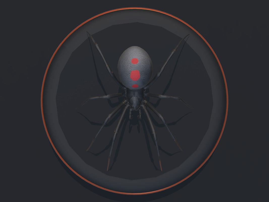 Arachnid Collection — 4 Animated Spiders