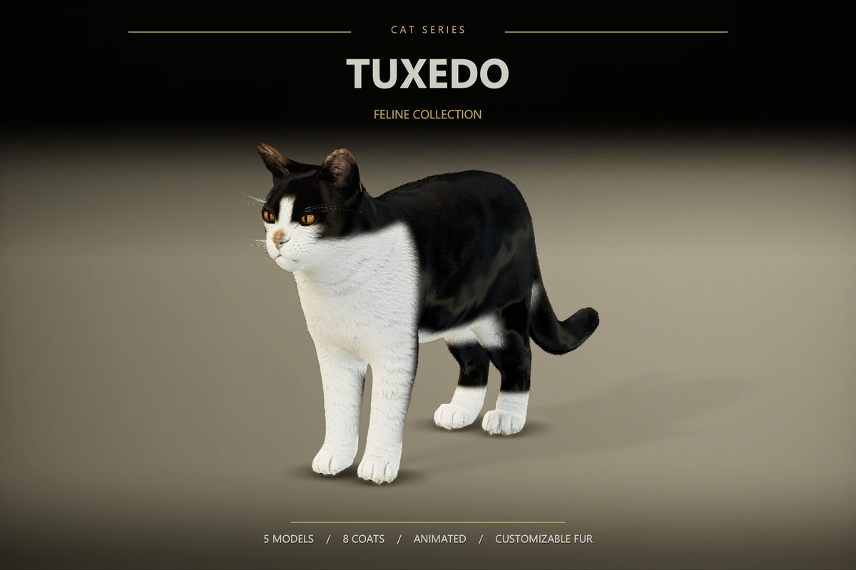 Feline Collection – Realistic Animated Cats with Customizable Fur