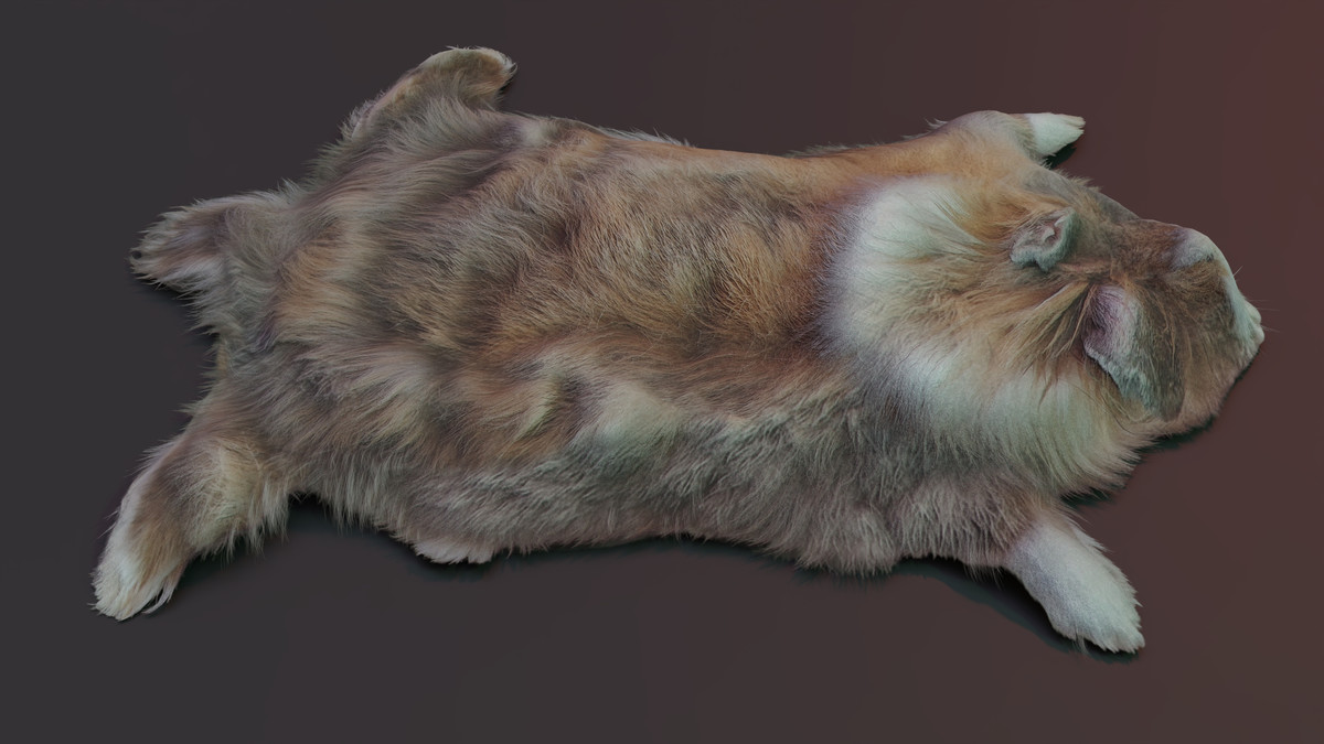 Animal pelts volume five: elephant, cow, calf, leopard, rabbit, antelope 4k URP