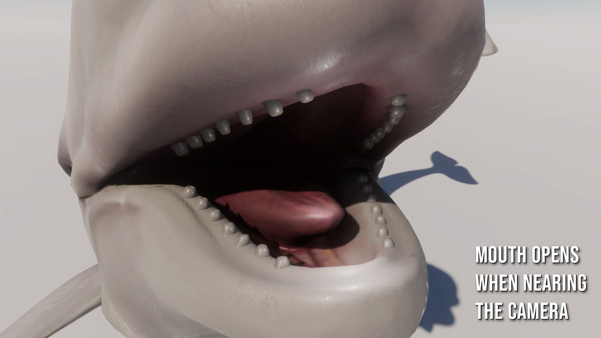 Beluga Whale with Spline System