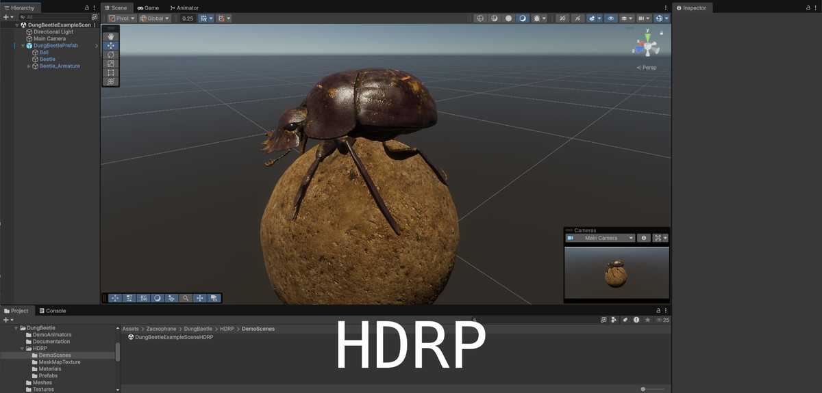 Animated Dung Beetle