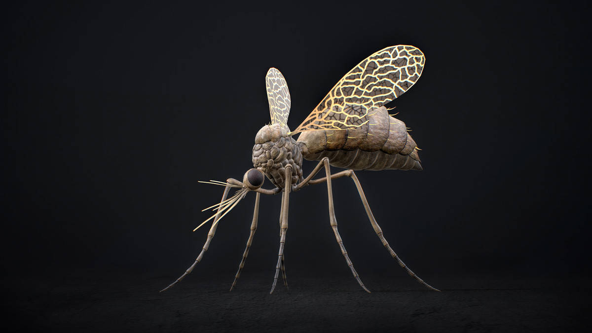 Mosquito Defender - Fantasy Magic Mosquitoes