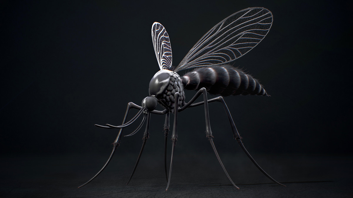 Mosquito Queen - Fantasy land Mosquitoes