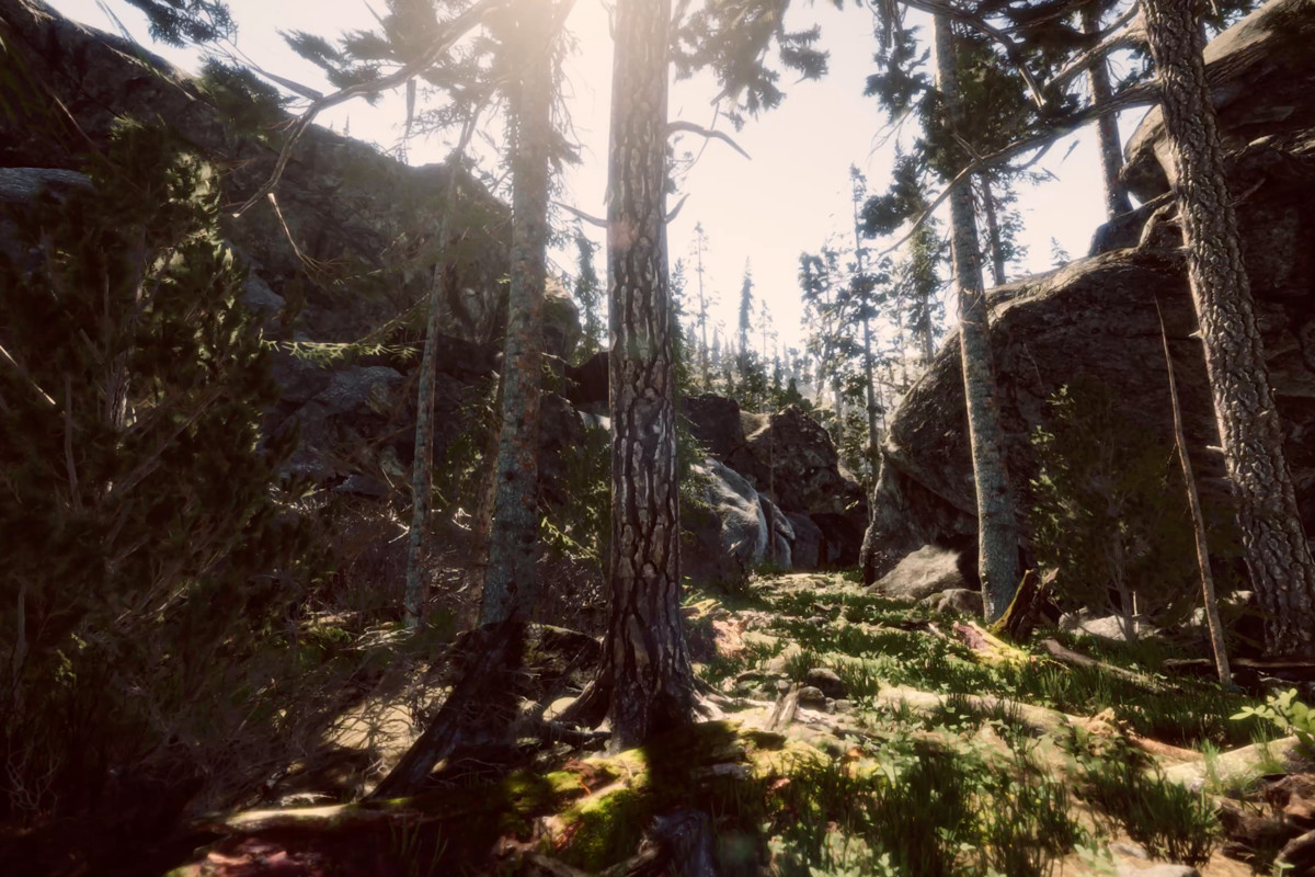 Book of the Dead Forest - URP - Fantasy RPG