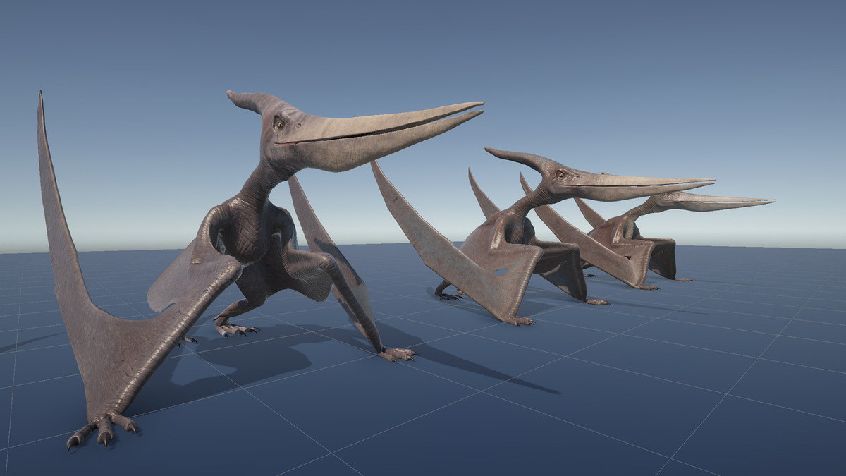 Dinosaur Pteranodon 179 Animations