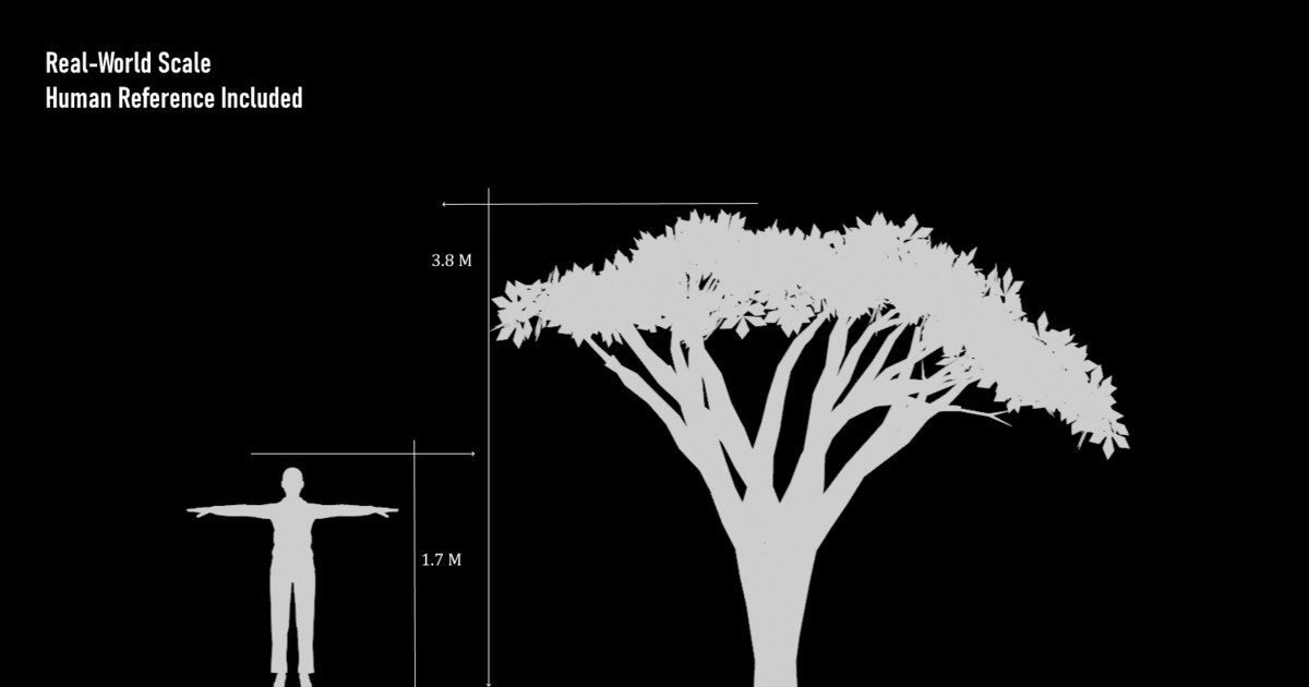FogWood - Stylized Trees Procedural Vegetation Pack