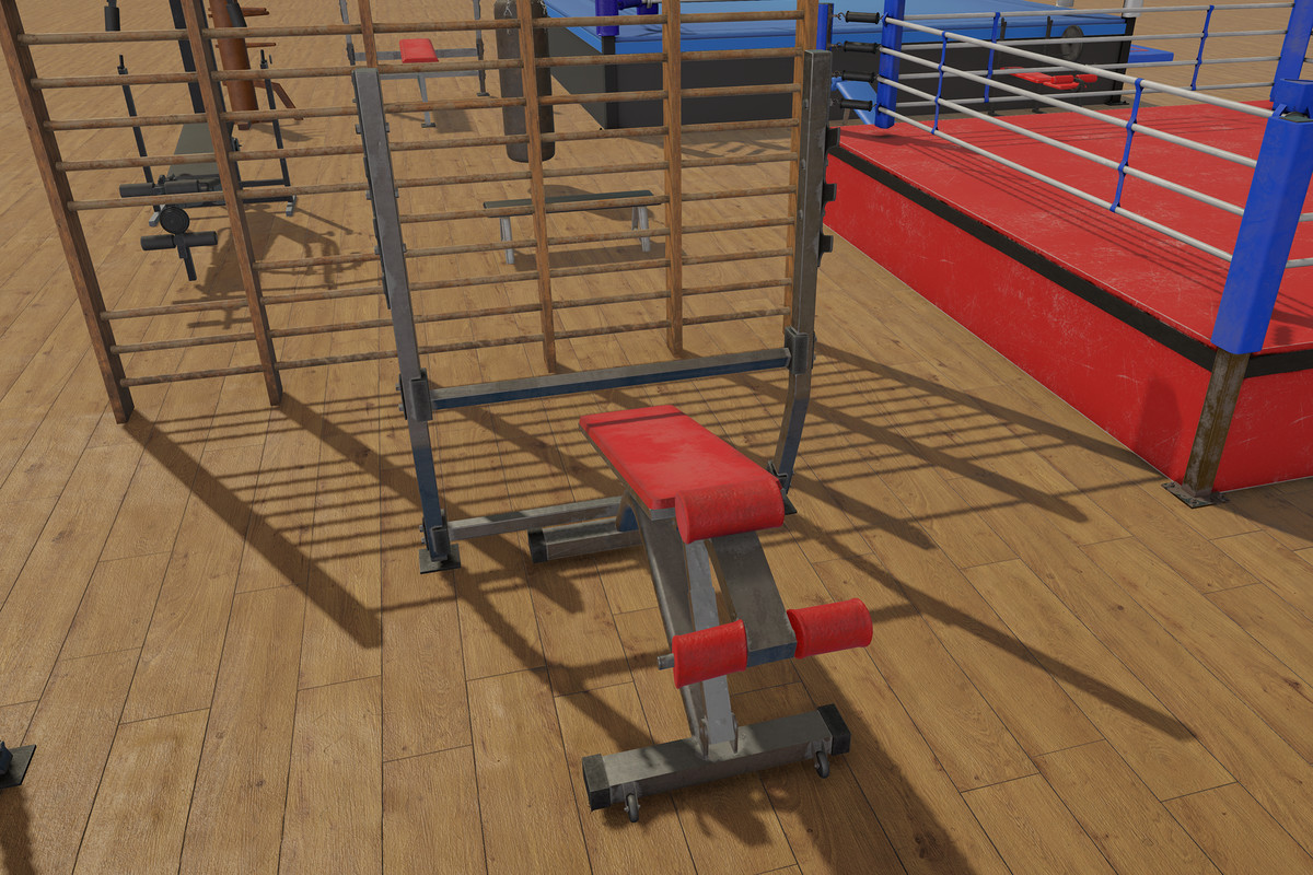 Boxing and Gym Equipment