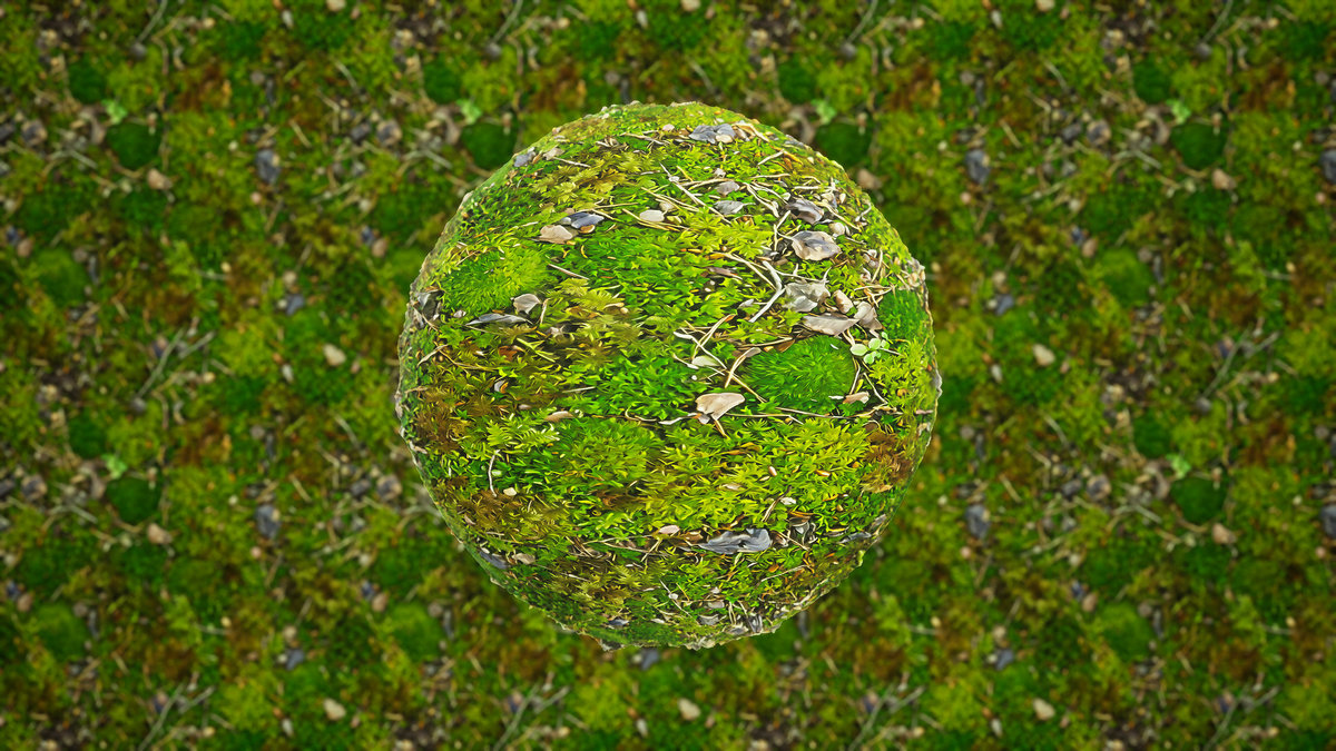 Stylized Materials - Forest Ground 1